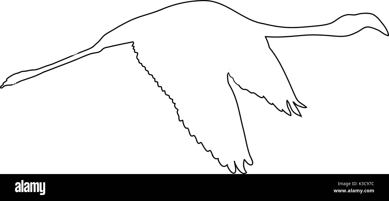 Contours d'un africain flamingo Illustration de Vecteur