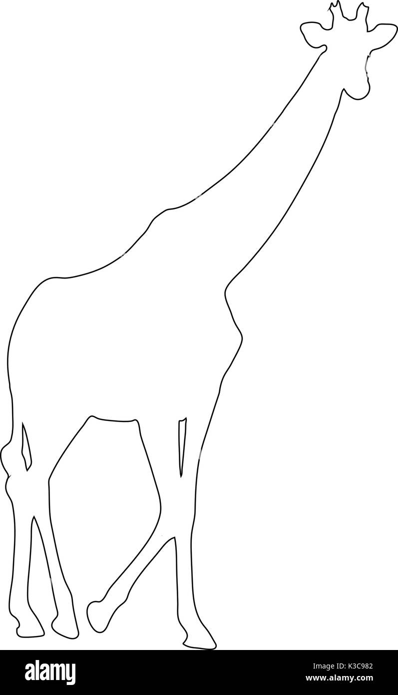 Description d'une girafe africaine Illustration de Vecteur
