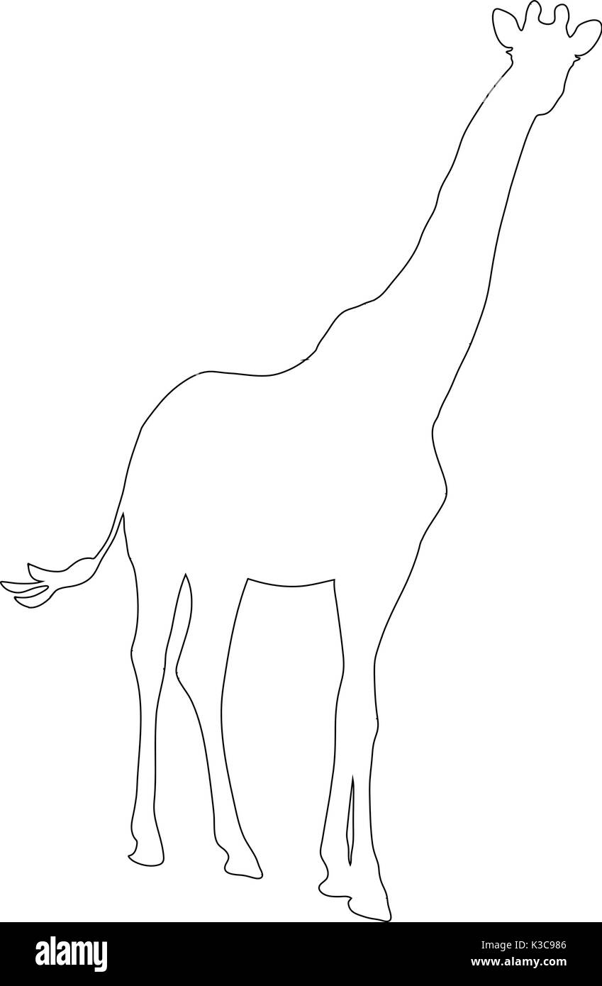 Description d'une girafe africaine Illustration de Vecteur