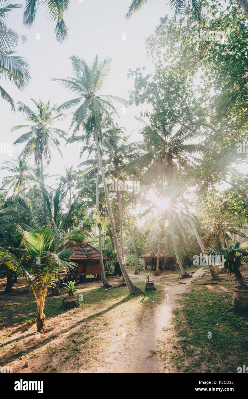 Tangalle, Province du Sud, Sri Lanka - Avril 27, 2017 : Palm Paradise Cabanas et cabines de plage resort sur la plage de Tangalle au Sri Lanka Banque D'Images