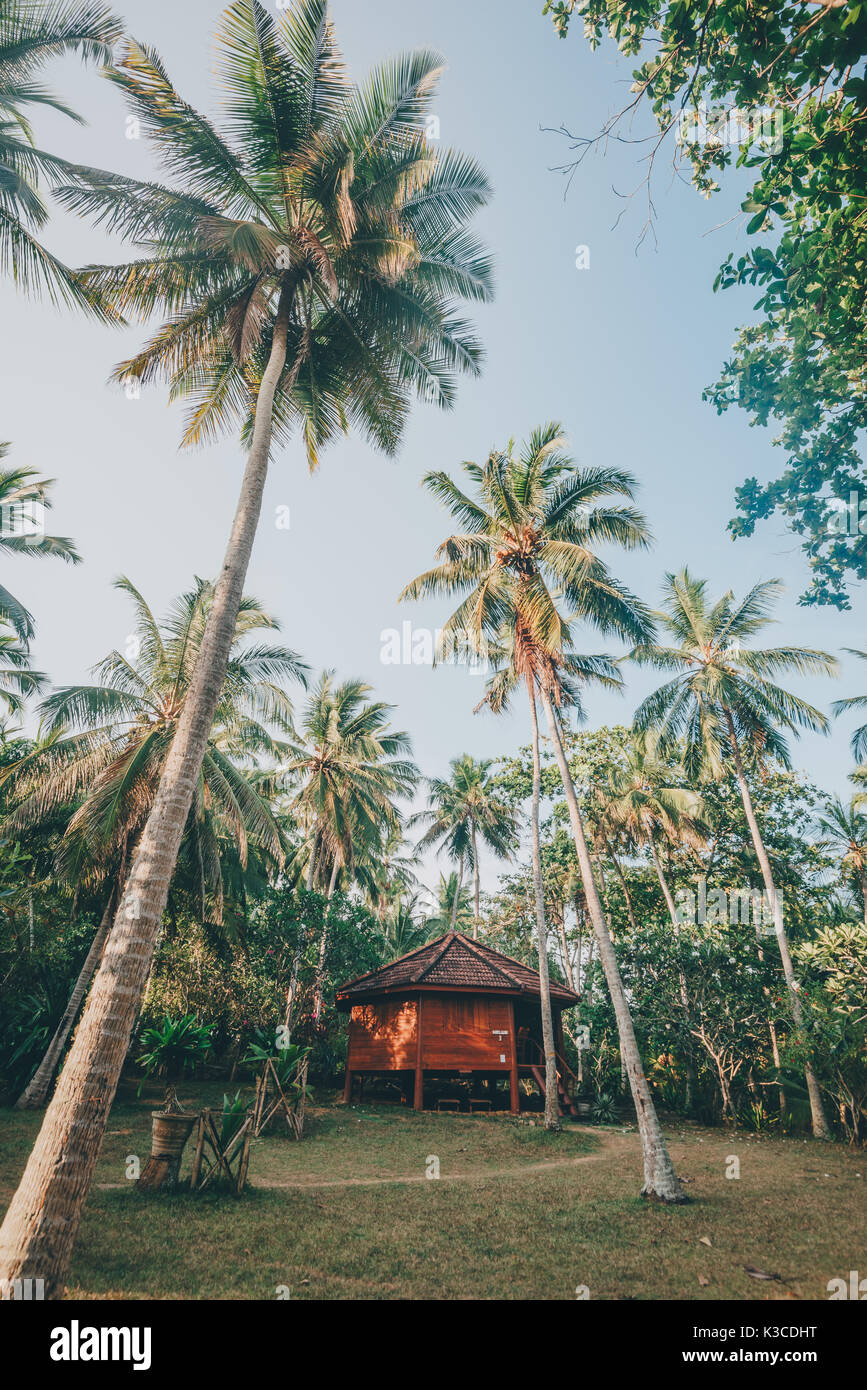 Tangalle, province du sud, Sri Lanka - avril 27, 2017 : Palm paradise cabanas et cabines de plage resort sur la plage de tangalle au Sri Lanka Banque D'Images