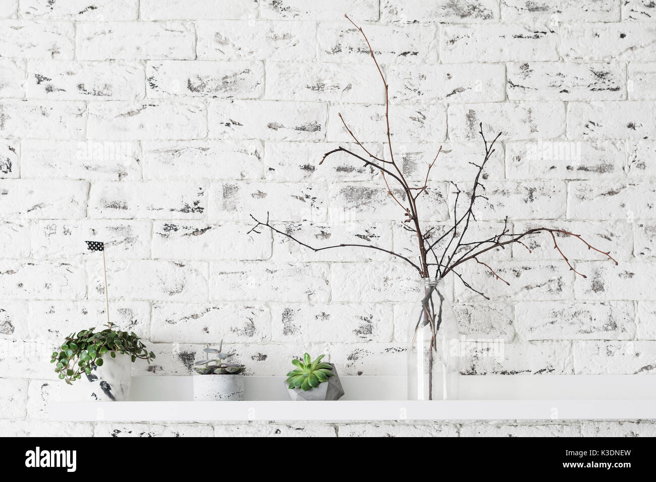 Intérieur scandinave loft moderne. Les plantes succulentes sur over white brick wall background. horizontale avec copie espace pour le texte Banque D'Images