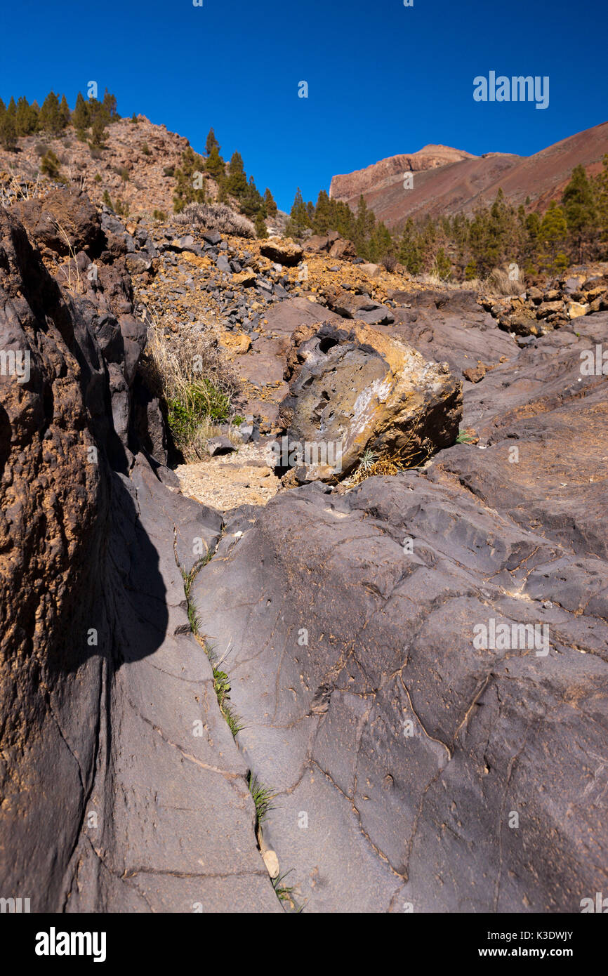 Marche de la white paysage lunaire à Vilaflor, Tenerife, Canaries, Espagne, Banque D'Images