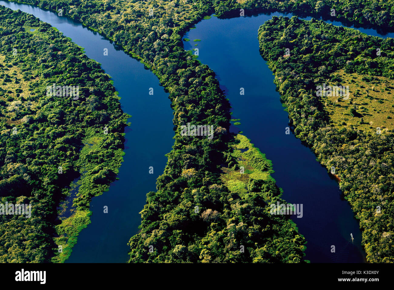 Brésil, Pantanal, vues aériennes, les paysages le long de la rivière autour du Rio Claro, Banque D'Images