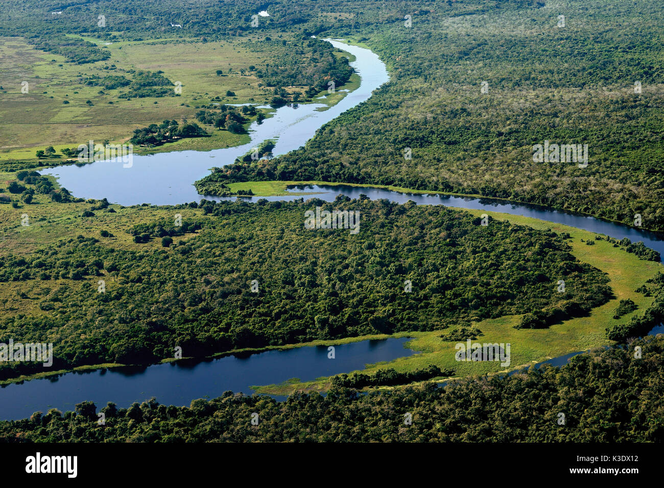 Brésil, Pantanal, vues aériennes, les paysages le long de la rivière autour du Rio Claro avec Poconé, Banque D'Images
