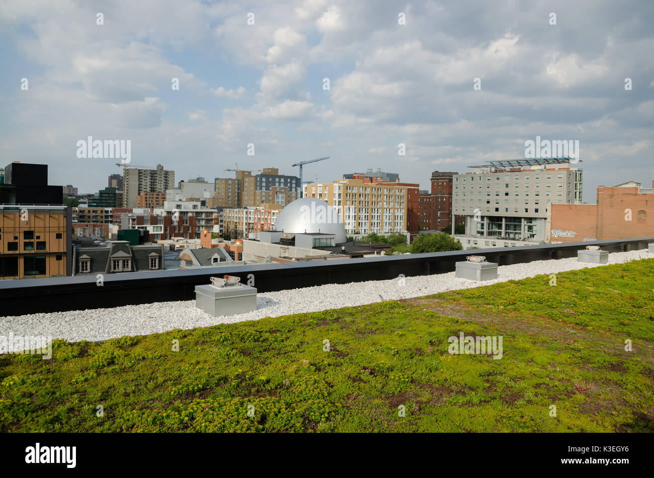 Jardin sur le toit sur le toit du Centre pour le développement durable à Montréal Banque D'Images