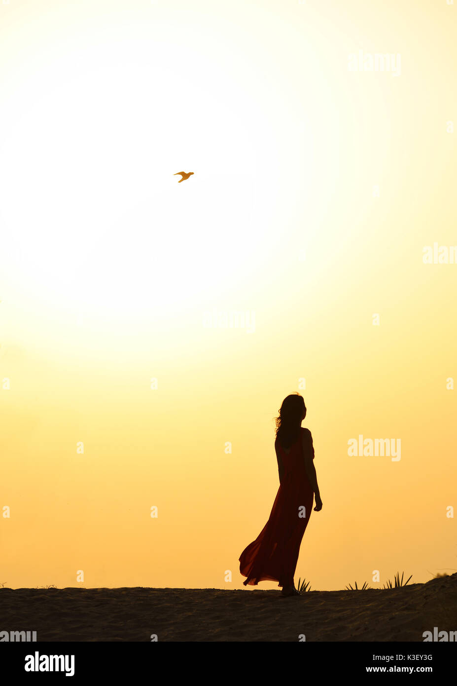 Jeune femme asiatique silhouette en désert de Dubaï, Émirats arabes unis Banque D'Images