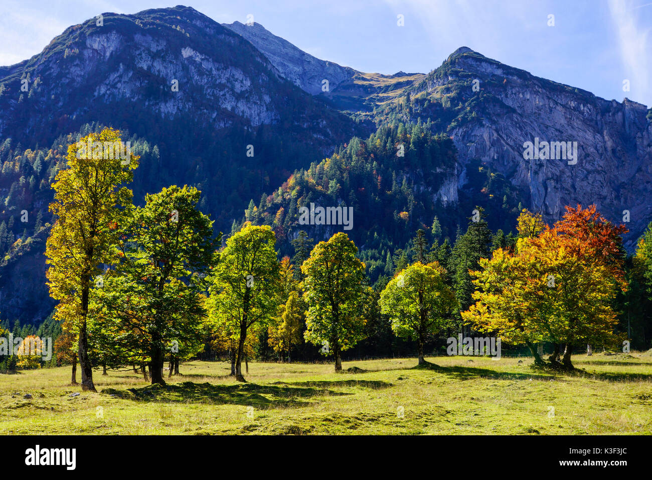 Grosser Ahornboden, Karwendel, Tyrol, Autriche, Banque D'Images