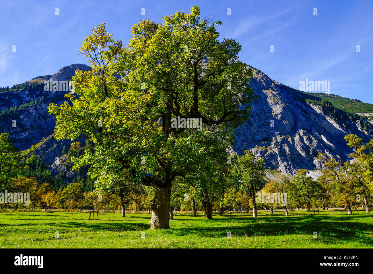 Grosser Ahornboden, Karwendel, Tyrol, Autriche, Banque D'Images