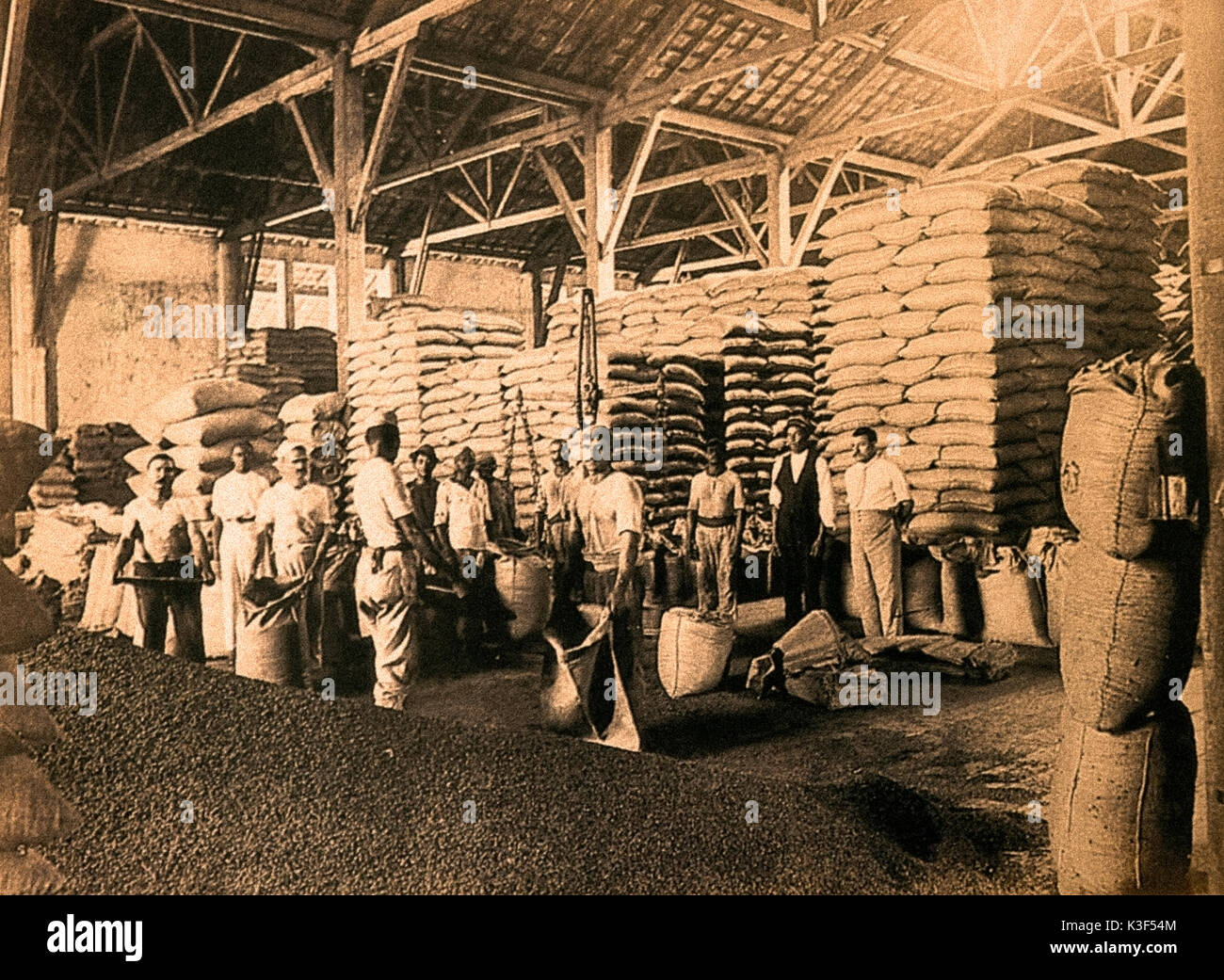 L'immigration italienne au Brésil début 1900 - entrepôt de café Banque D'Images