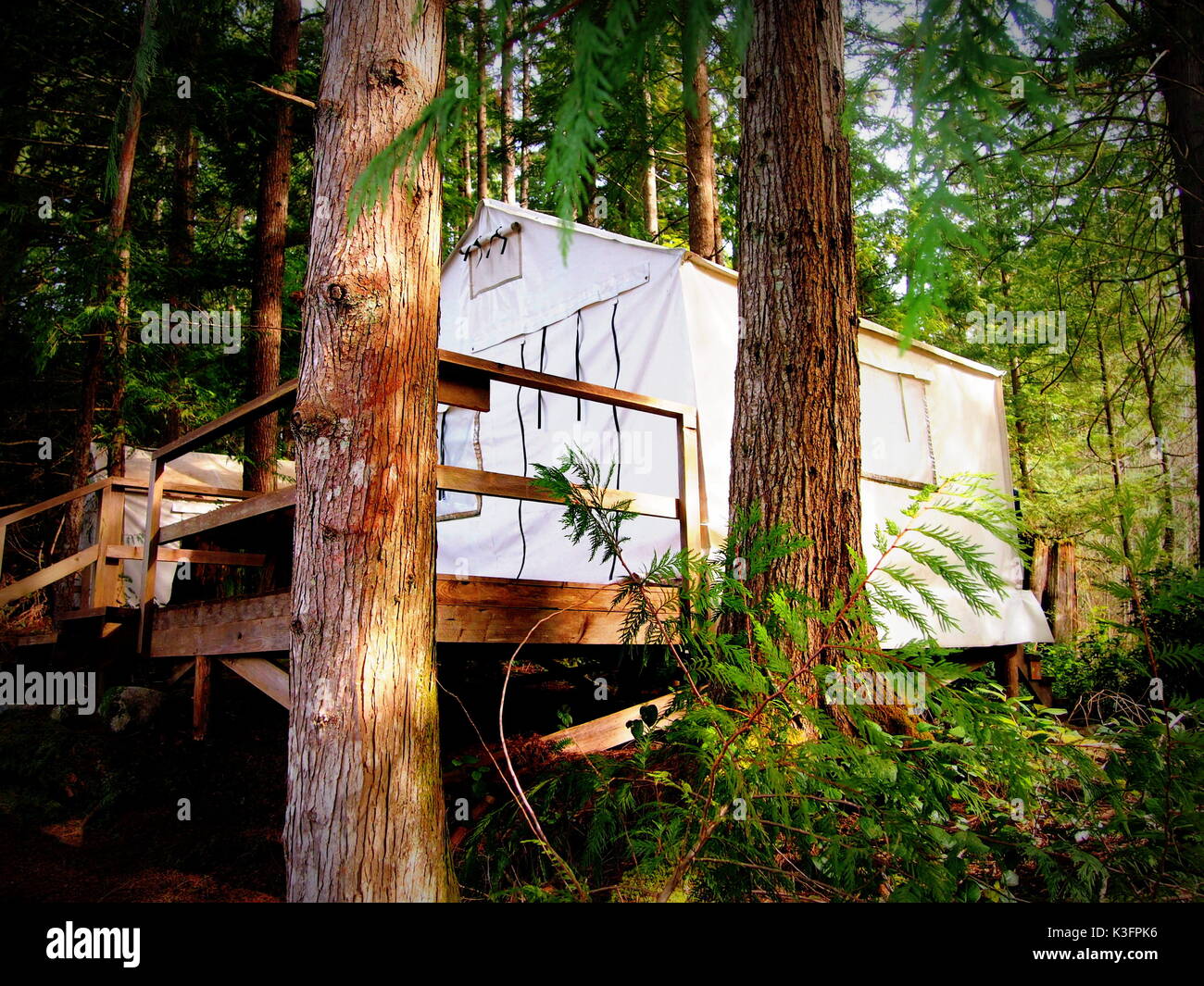 Maison cachée dans les bois Banque D'Images