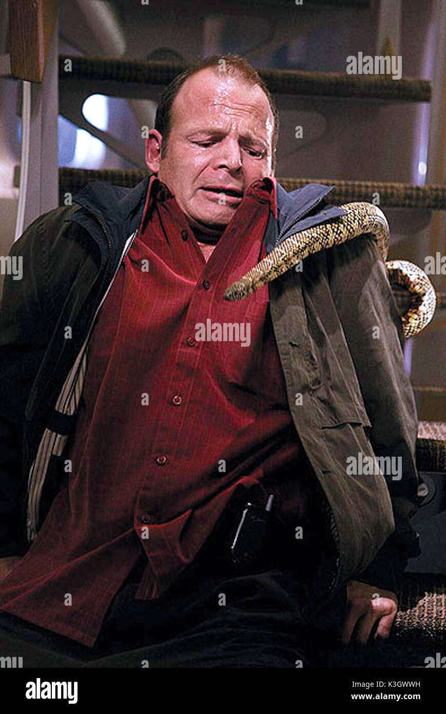 Serpents À BORD MARK HOUGHTON Date : 2006 Banque D'Images