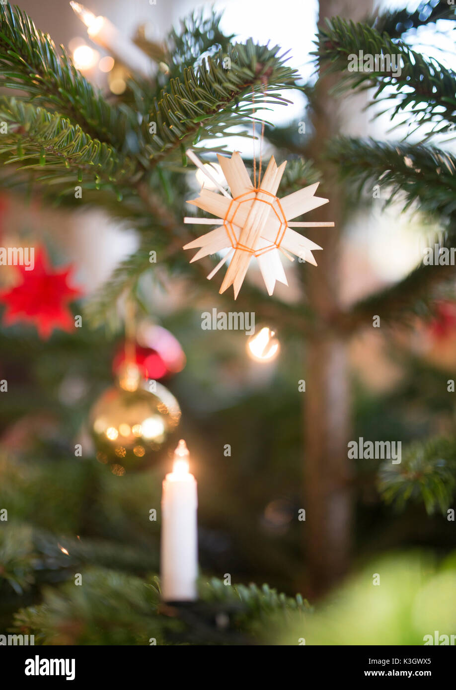 Étoiles de paille sur un arbre de Noël Banque D'Images