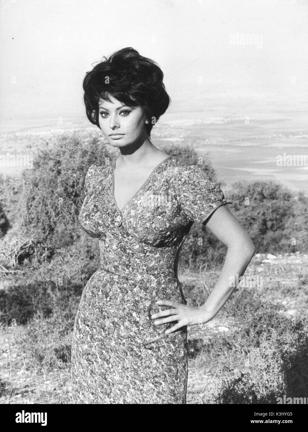 SOPHIA LOREN Banque D'Images