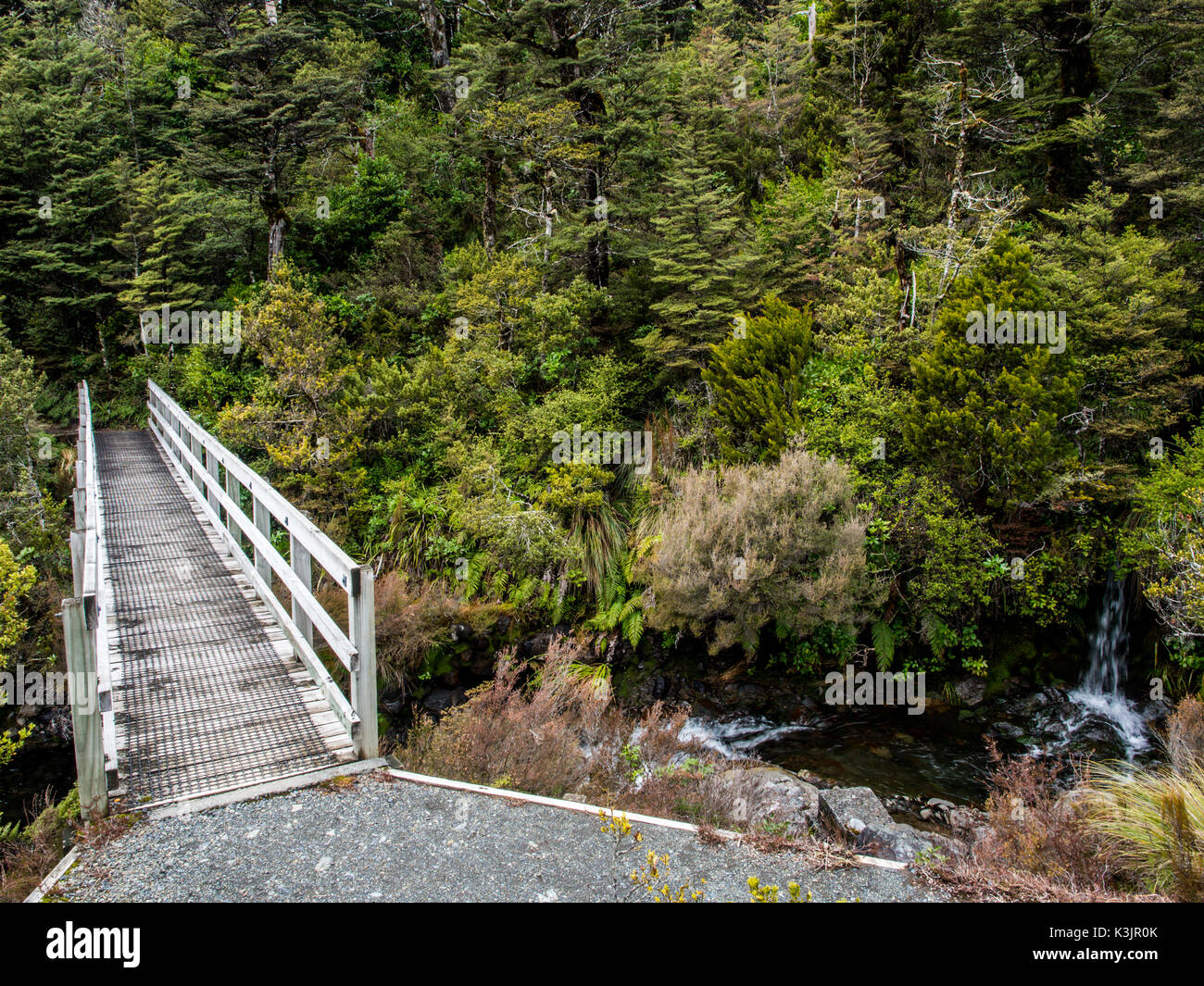 Whakapapanui Ruisseau, Parc National de Tongariro, Nouvelle-Zélande Banque D'Images