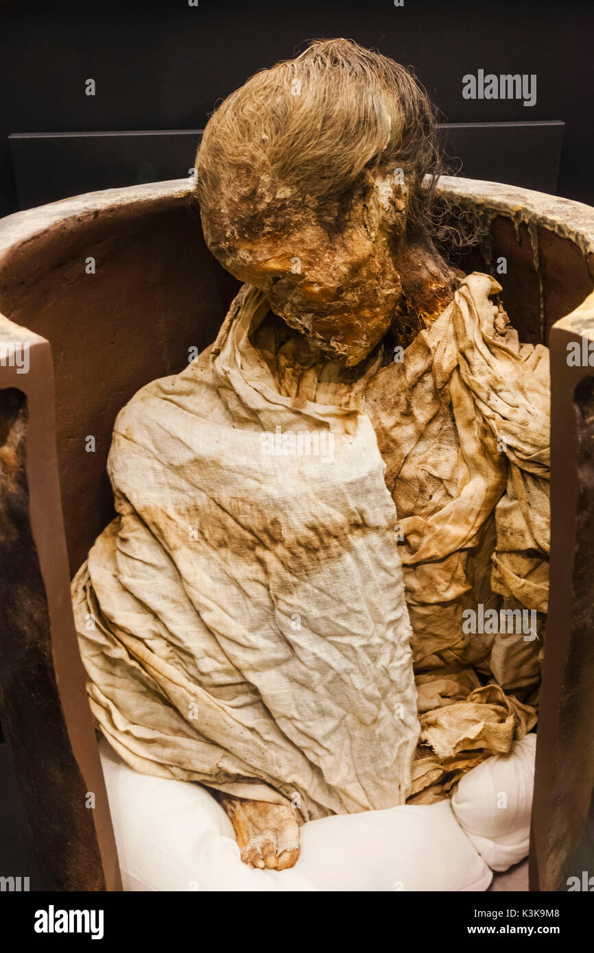 Le Japon, Hoshu, Tokyo, Ueno Park, Musée National de la nature et de la science, de la pièce de la période Edo en momie féminine enterrement en terre cuite Pot Banque D'Images