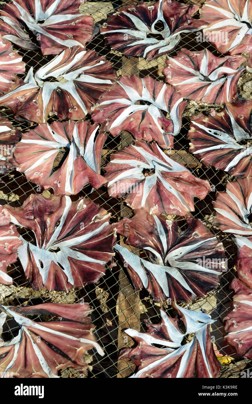 Une production de poisson faire sécher le poisson produits dans la ville de Myeik dans le sud au Myanmar en Southeastasia. Banque D'Images