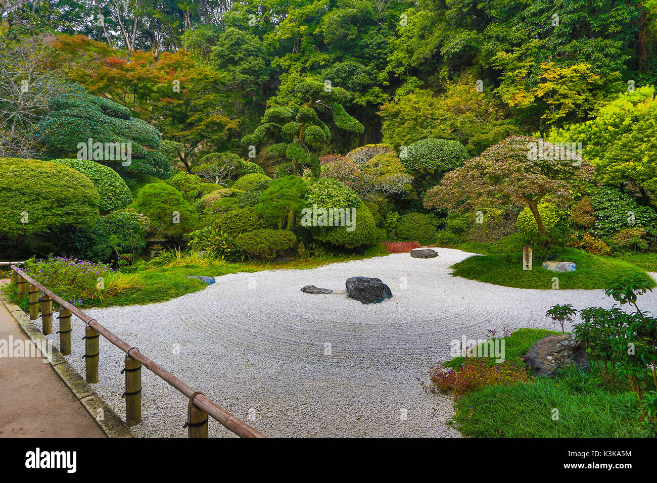 Japon, Kamakura, Ville Hokoku-ji, jardin Banque D'Images