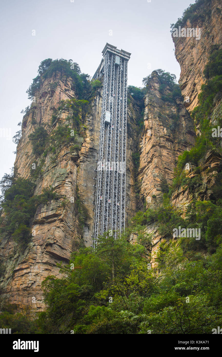 La Chine, la province du Hunan, la ville de Zhangjiajie, Zhangjiajie Scenic Park, ascenseur Bailong, Wulingyuan Banque D'Images