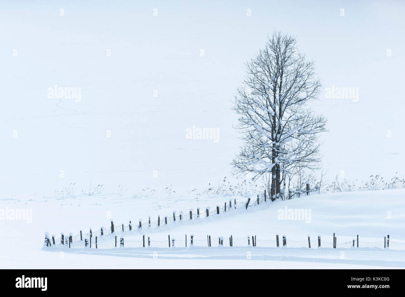 Un chemin longe la clôture et l'arbre dans la neige Banque D'Images