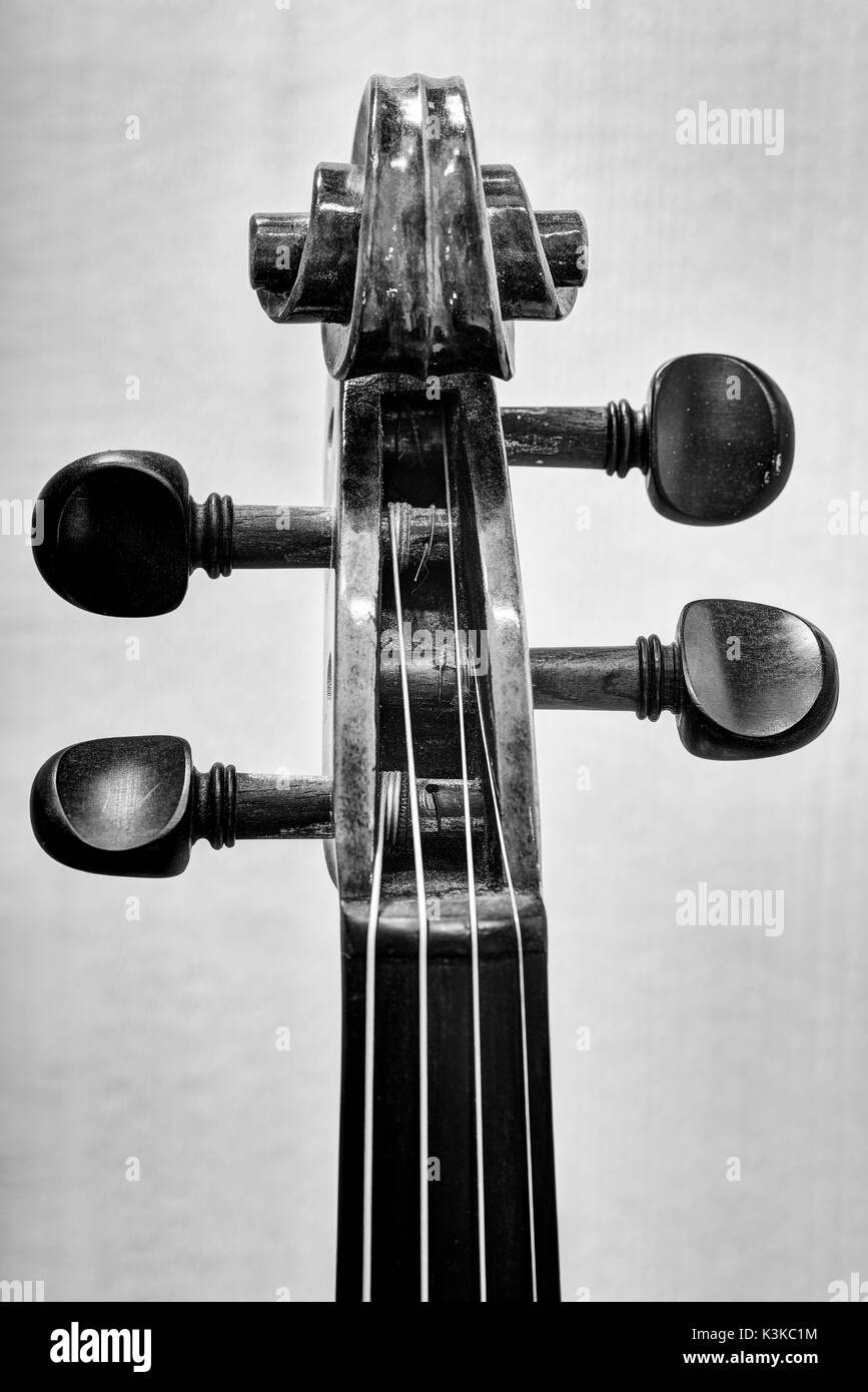 Tête de violon d'un ancien violon en noir et blanc. Banque D'Images