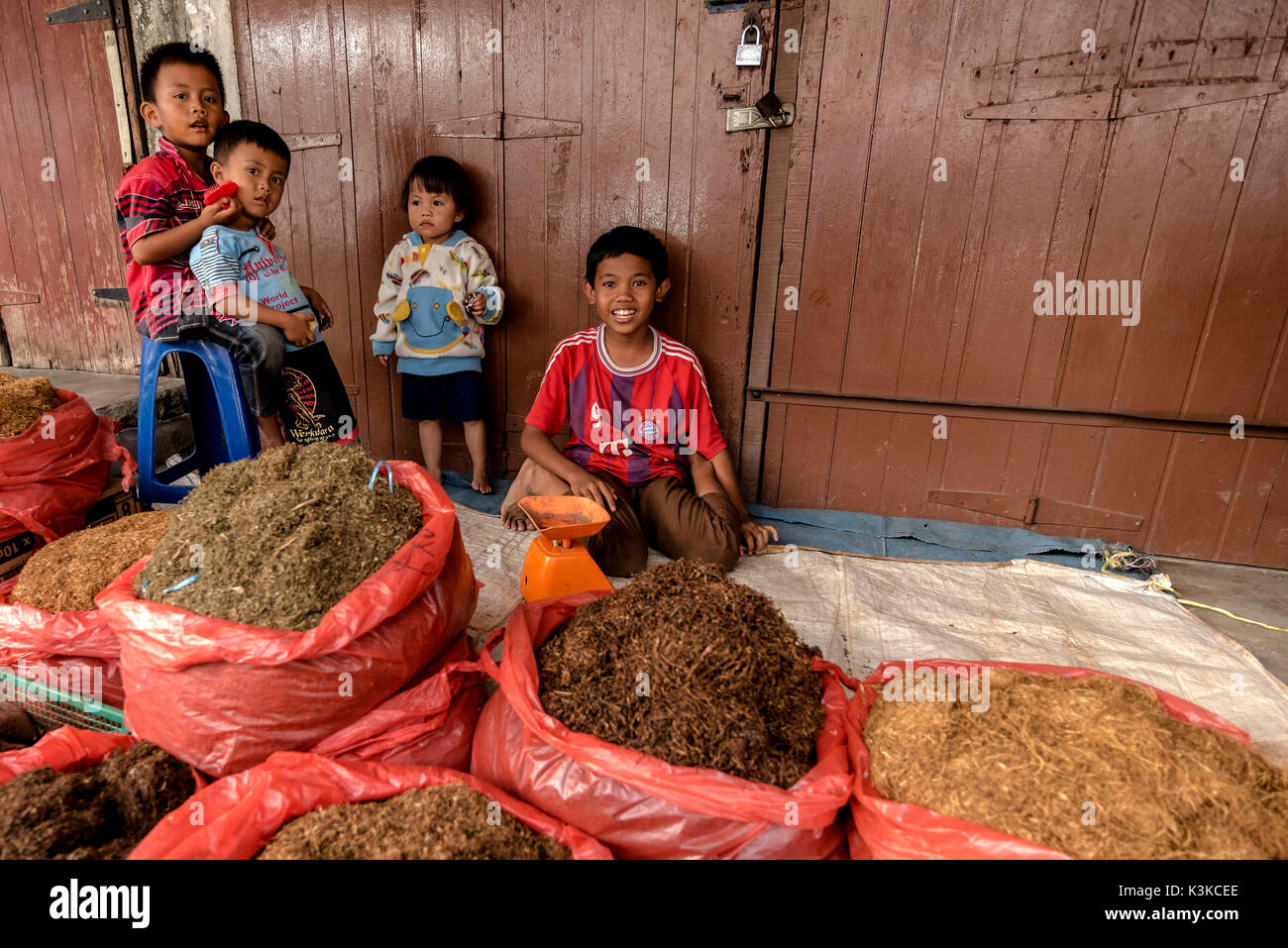 Les jeunes buralistes. Les enfants vendent du tabac dans de grands sacs sur le marché de Berastagi Banque D'Images
