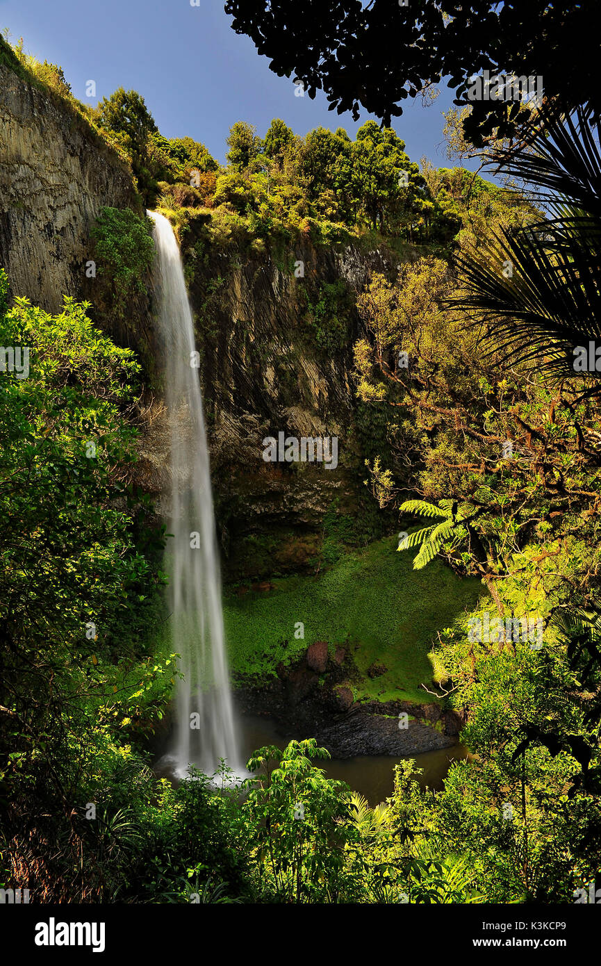 La chute de Bridal Veil en Nouvelle-Zélande. Banque D'Images