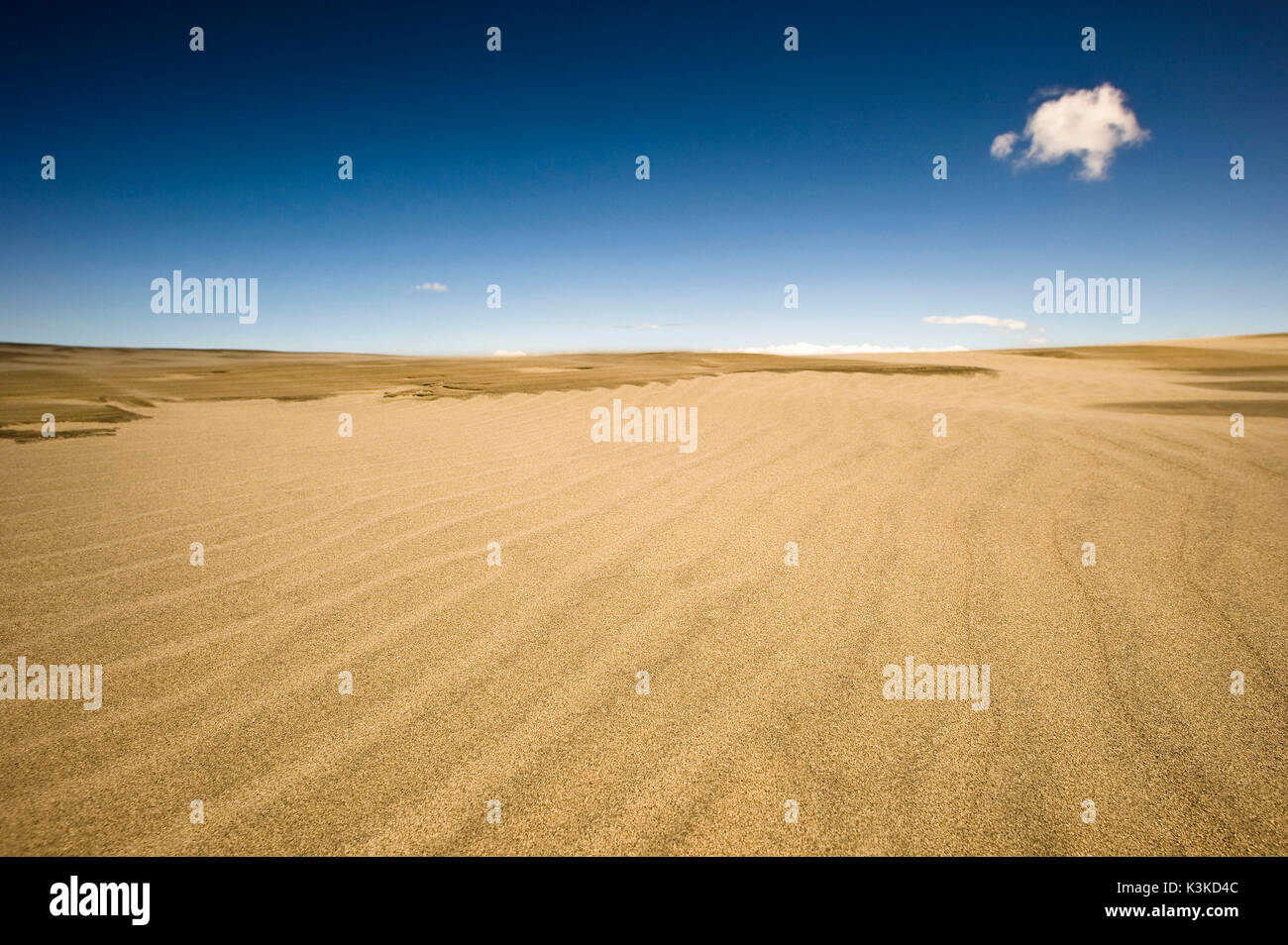 Paysages sauvages de l'Adieu Split en Nouvelle-Zélande. Un seul nuage flotte sur la sécheresse. Banque D'Images
