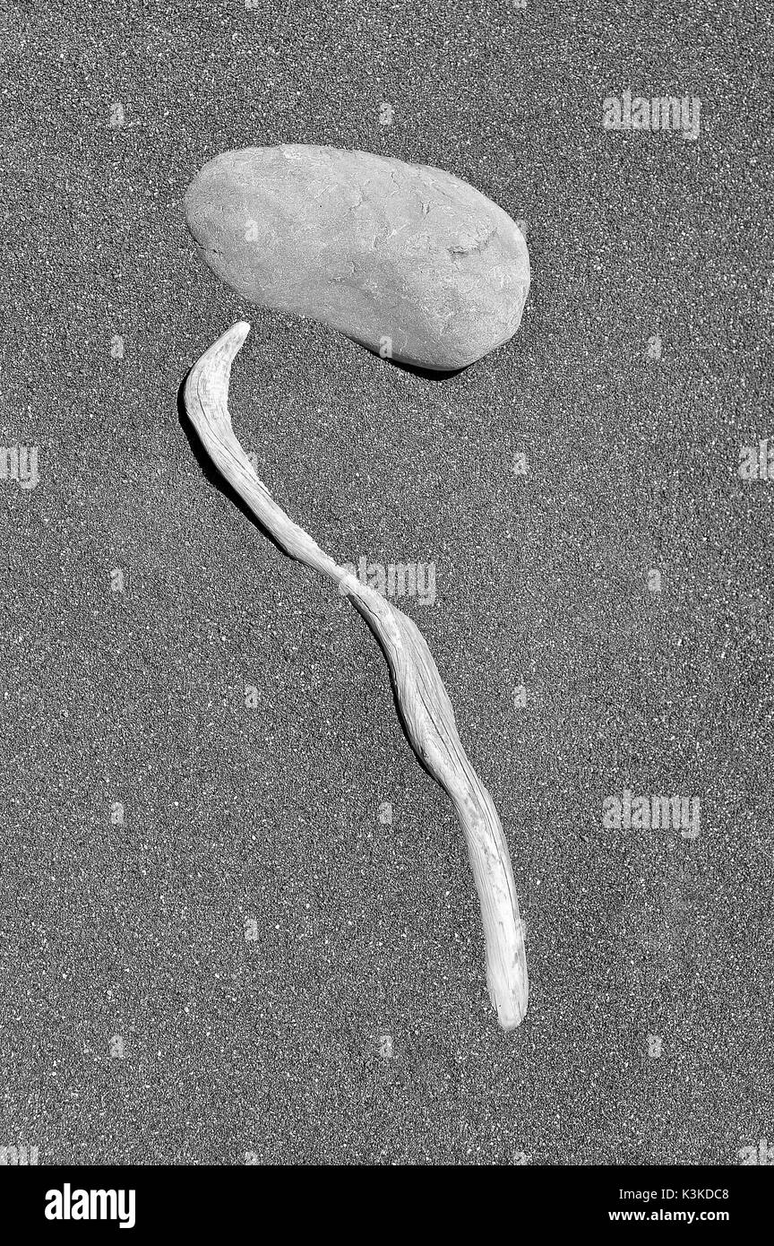 Résumé accidentel d'un tableau de pierre et bois flotté, sur une des plages de sable noir en Nouvelle-Zélande. Banque D'Images