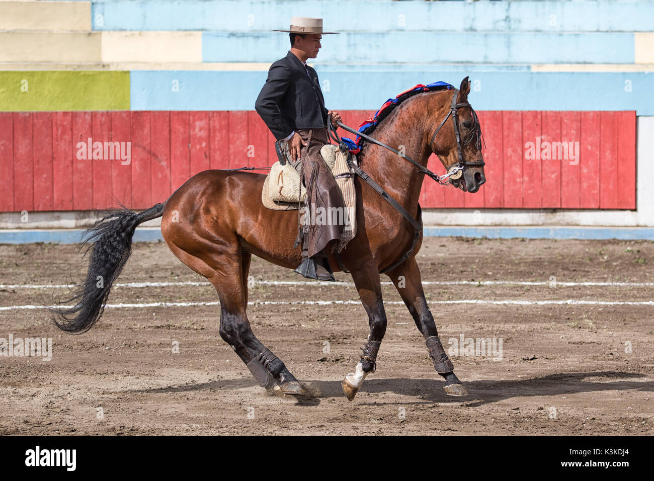 Toreador à cheval en Equateur Banque D'Images