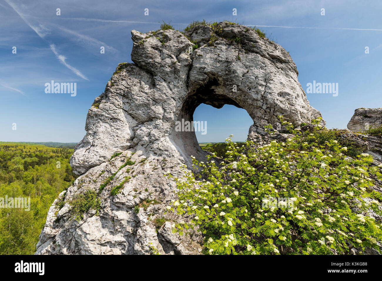 L'Europe, la Pologne, la Silésie, Krakow-Czestochowa / montagne jurassique polonais Highland - Okiennki Wielki Banque D'Images