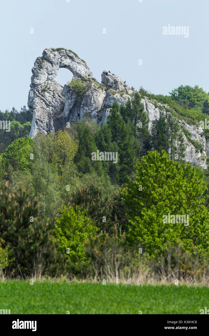 L'Europe, la Pologne, la Silésie, Krakow-Czestochowa / montagne jurassique polonais Highland - Okiennki Wielki Banque D'Images