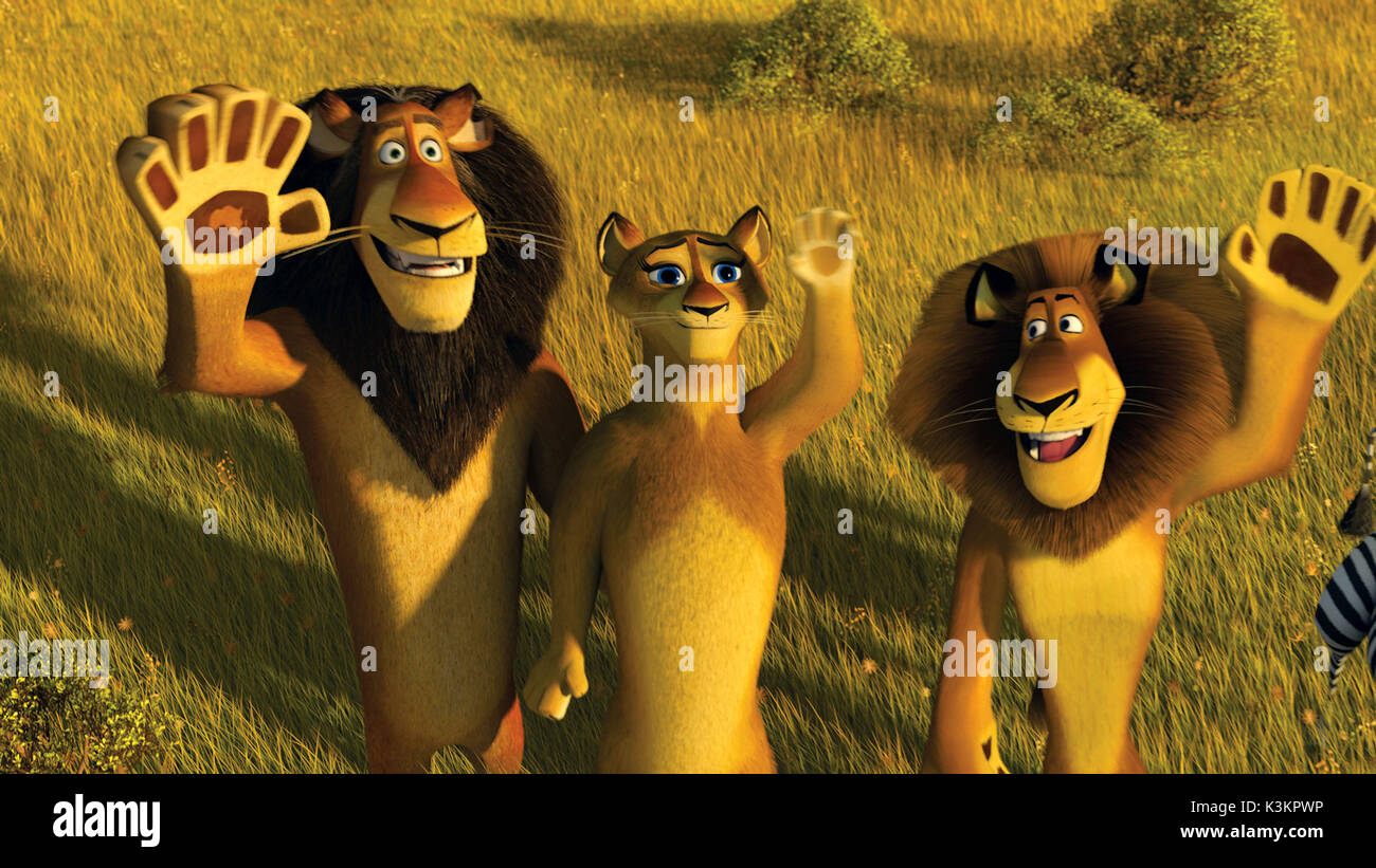 MADAGASCAR : Escape 2 Africa voix MAC BERNIC Zuba / Lion, SHERRI SHEPHERD voices / Maman lionne, Ben Stiller voix Alex / Lion Date : 2008 Banque D'Images