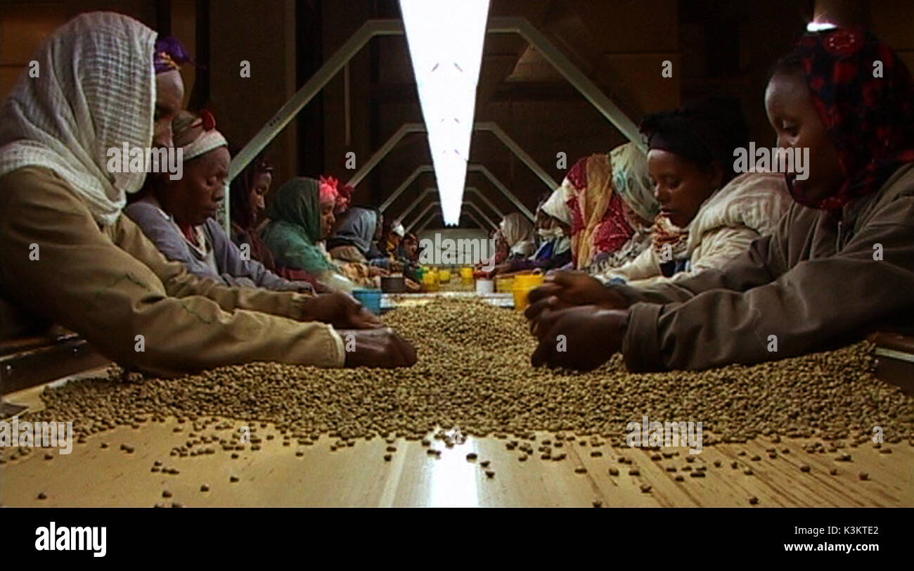 BLACK GOLD Date : 2006 Banque D'Images