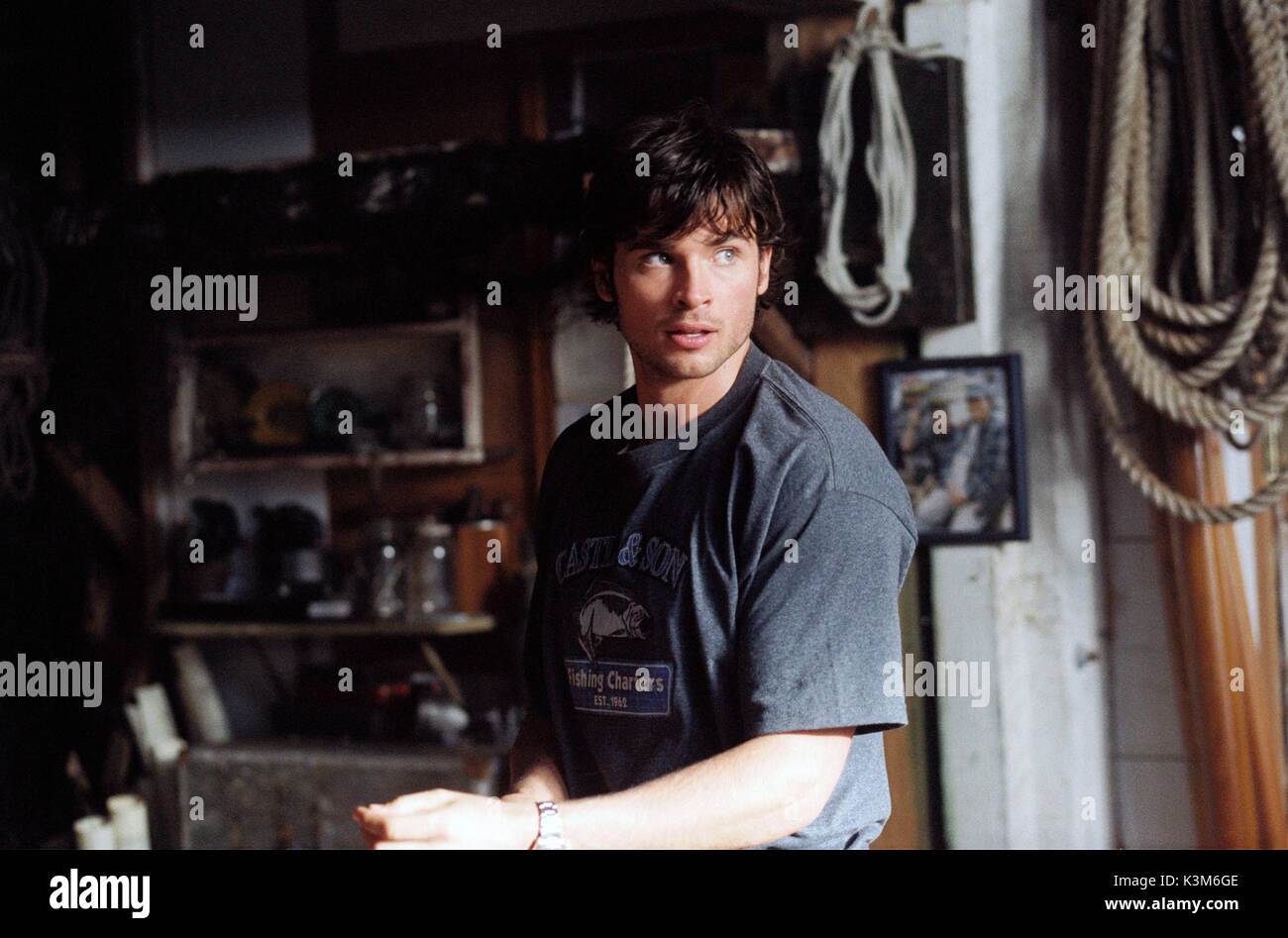 Le Brouillard Le brouillard Tom Welling Date : 2005 Banque D'Images