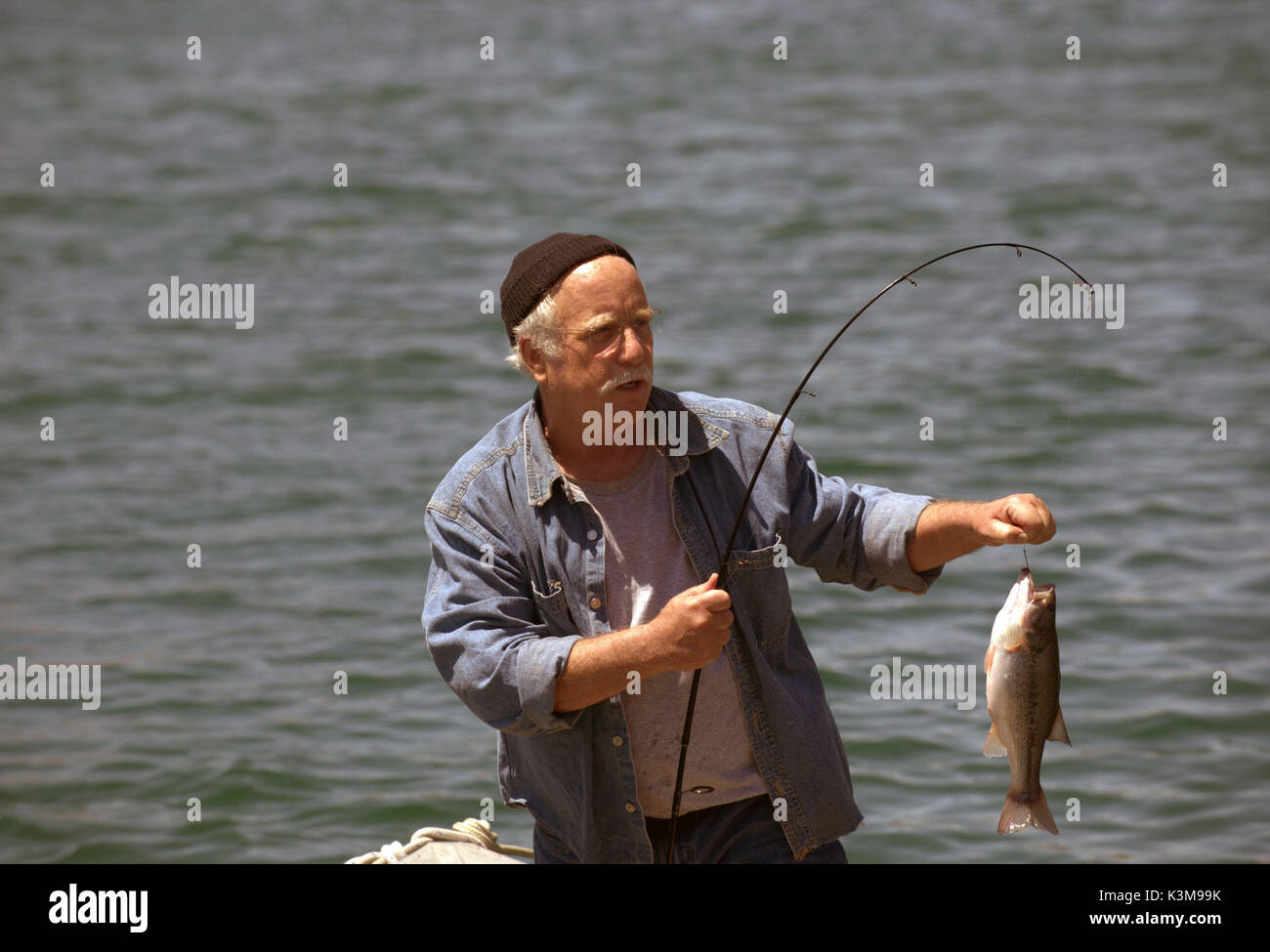 PIRANHA RICHARD DREYFUSS Date : 2010 Banque D'Images