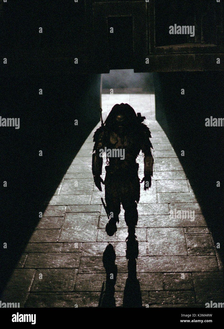 AVP : Alien VS. PREDATOR [NOUS / GER / tchèque / BR 2004] Date : 2004 Banque D'Images