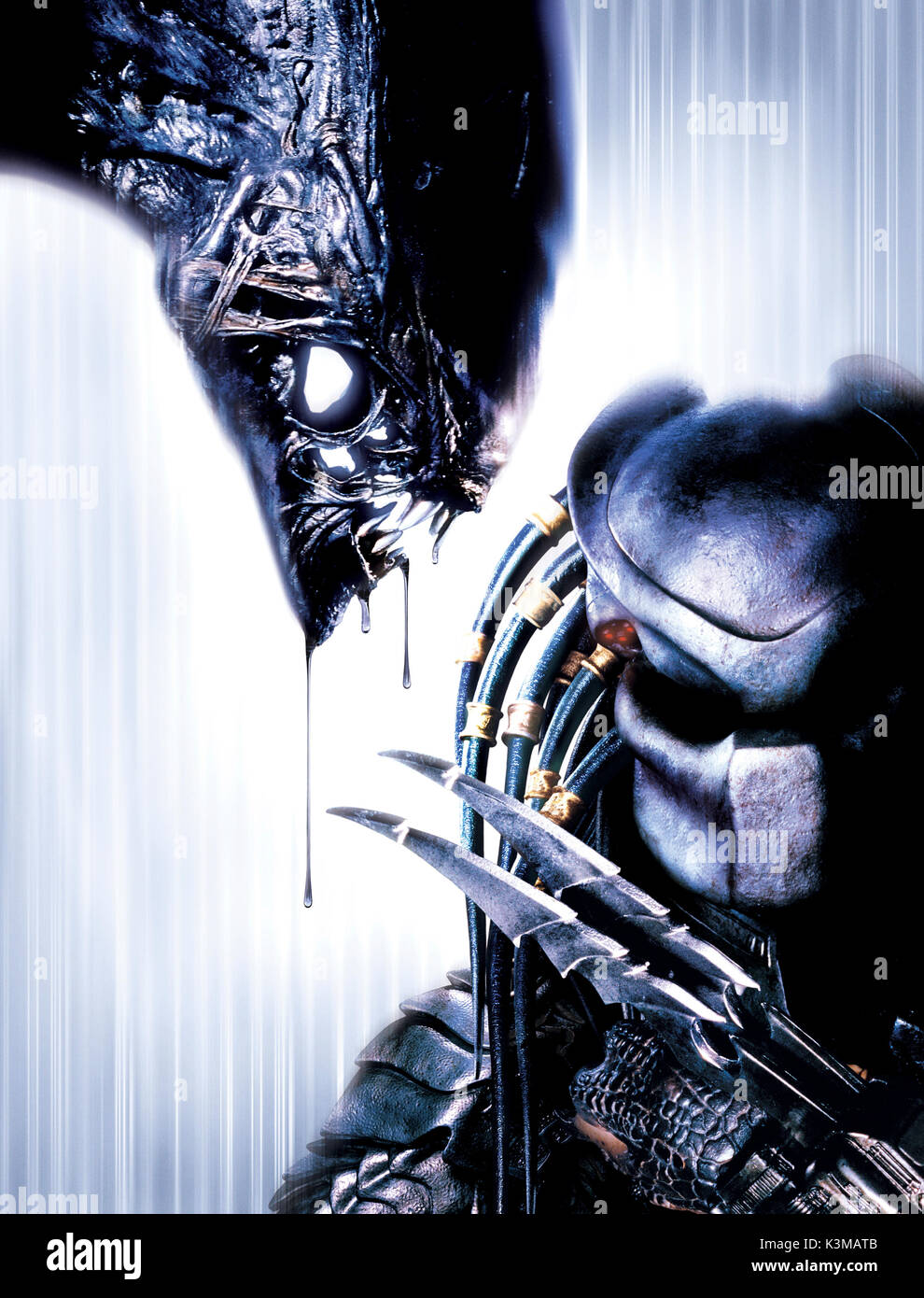 AVP : Alien VS. PREDATOR [NOUS / GER / tchèque / BR 2004] Date : 2004 Banque D'Images