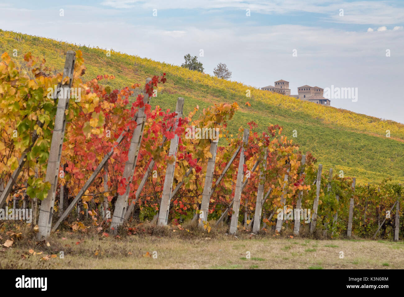 L'automne au château de Torrechiara, Langhirano, district de Parme, Emilie-Romagne, Italie. Banque D'Images