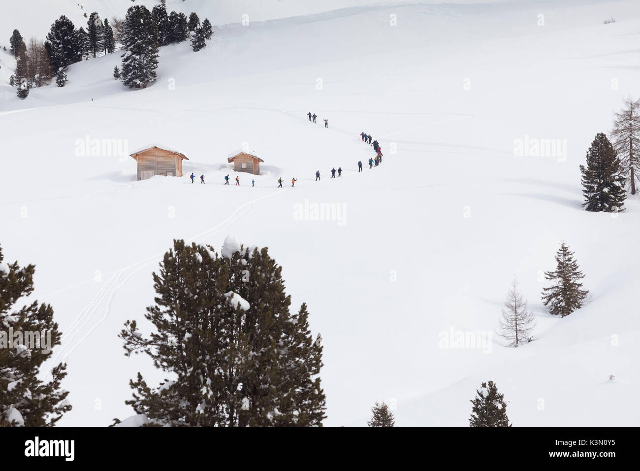 Un groupe de randonneurs est de monter dans un seul fichier sur une pente en Villnoss snowly, la province de Bolzano, le Tyrol du Sud, Trentin-Haut-Adige, Italie, Europe Banque D'Images