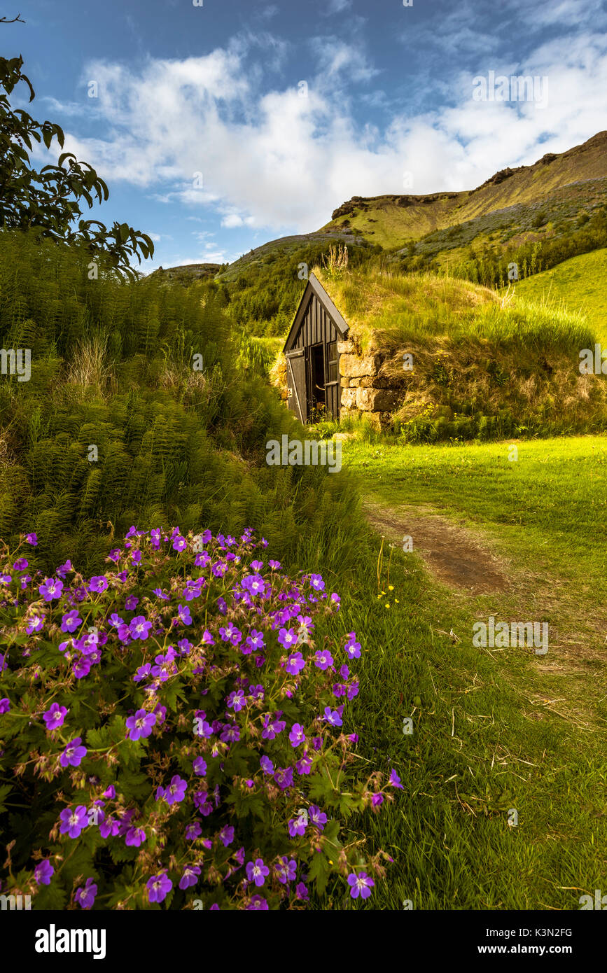 Le Sud de l'Islande, Skógar. Maisons aux toits d'herbe iconique. Banque D'Images