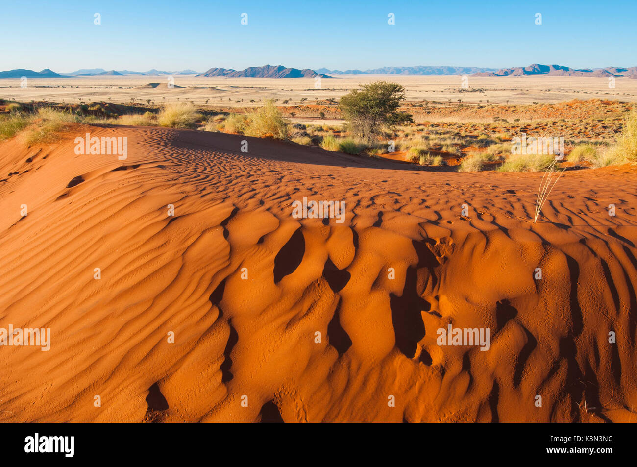 Désert du Namib, Namibie, Afrique. Dunes pétrifiées au coucher du soleil. Banque D'Images