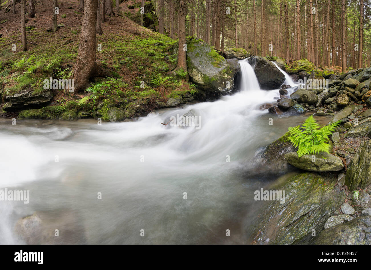 Lutago/Luttach, Vallée Aurina, Tyrol du Sud, Italie. Le Pojen Creek dans la vallée Aurina Banque D'Images
