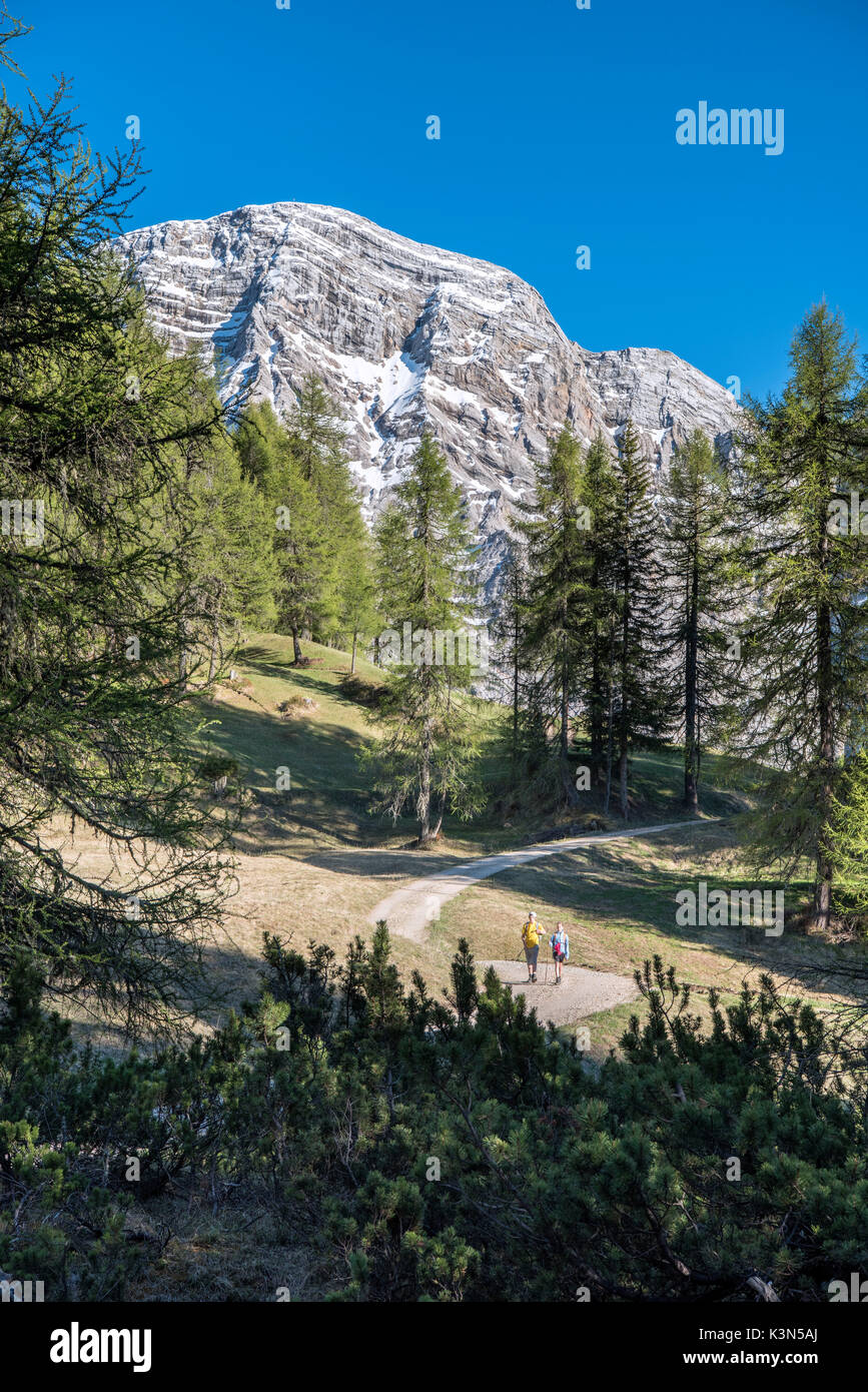 La Valle / Wengen, l'Alta Badia, la province de Bolzano, le Tyrol du Sud, Italie. Les randonneurs voyageant sur les pâturages d'arp de rit Banque D'Images