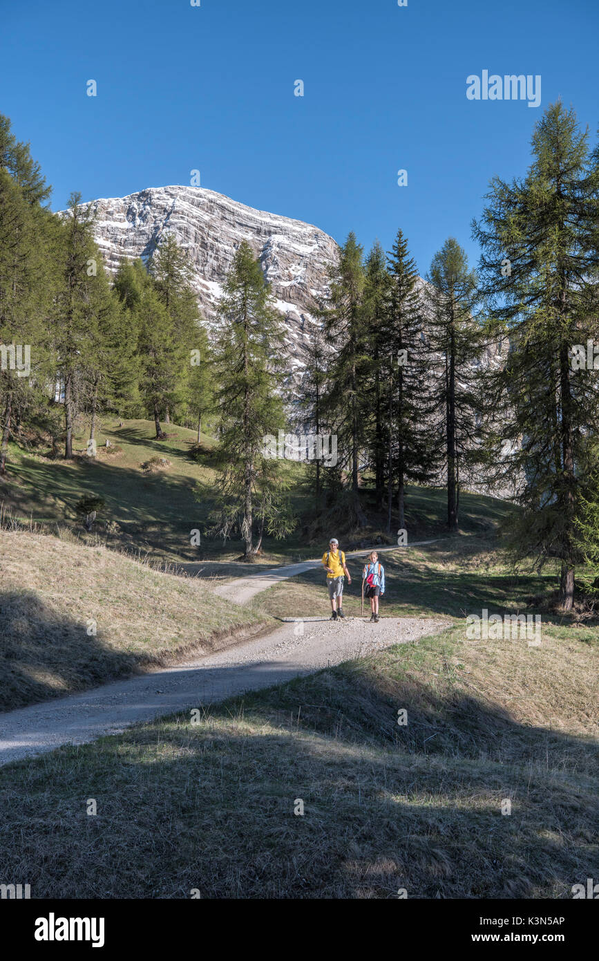 La Valle / Wengen, l'Alta Badia, la province de Bolzano, le Tyrol du Sud, Italie. Les randonneurs voyageant sur les pâturages d'arp de rit Banque D'Images