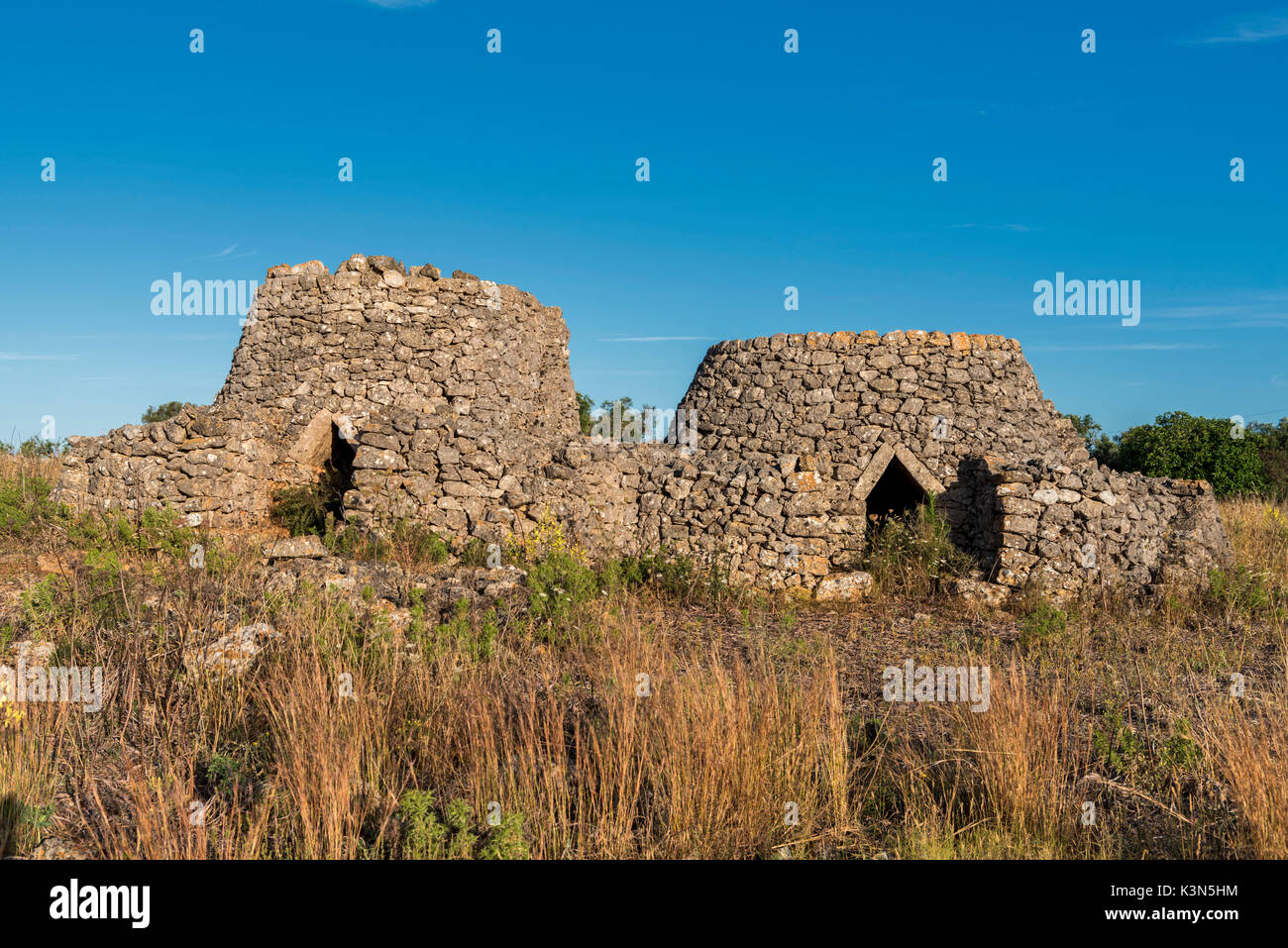 Casarano, province de Lecce, Pouilles, Salento, en Italie. Cabane en pierre sèche traditionnelle des Pouilles Banque D'Images