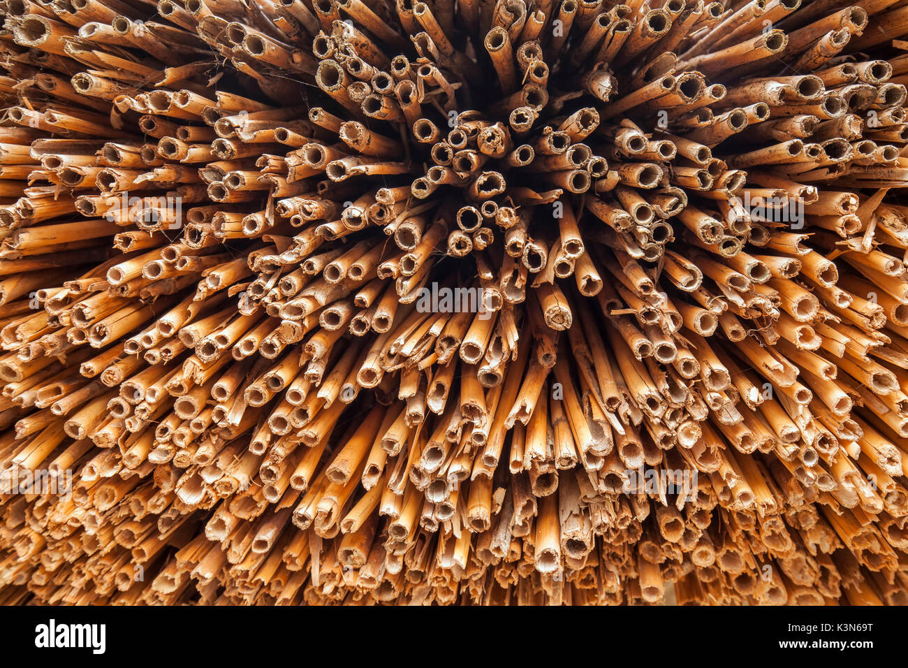 Détail de la toiture d'une maison sur pilotis dans le parc, Livelet effectuée avec des paquets de roseaux se chevauchaient et fixé sur une structure en bois, l'épaisseur moyenne de 30 cm. fournit une protection contre les intempéries. Livelet, Revine Lago Park Archeo, Trévise Banque D'Images