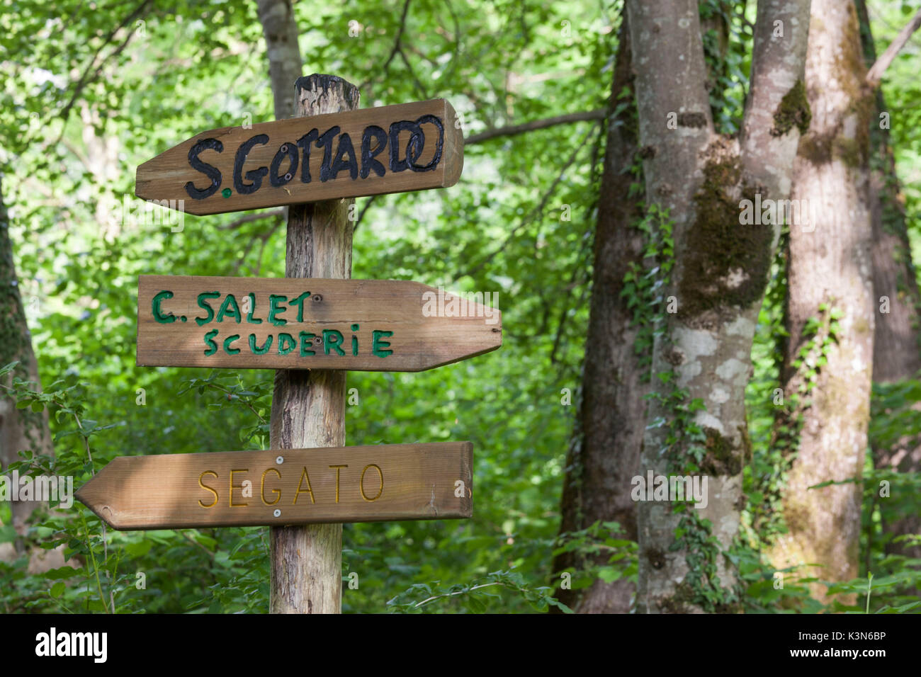 Sedico, Padova, Veneto, Italie. Tables en bois le long du sentier entre San Gottadro et cas Salet. Banque D'Images
