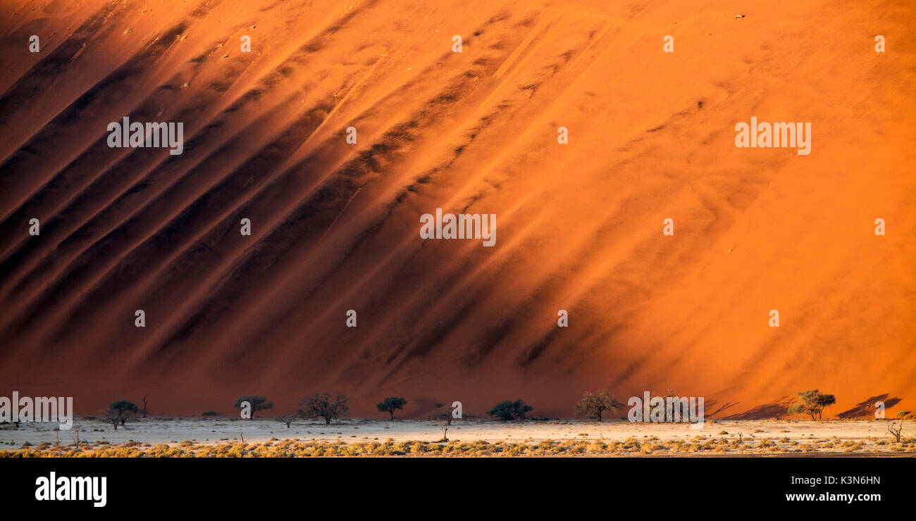 Sunrise de dune 45 à Sossuvlei, Parc National Namib Naukluft Banque D'Images