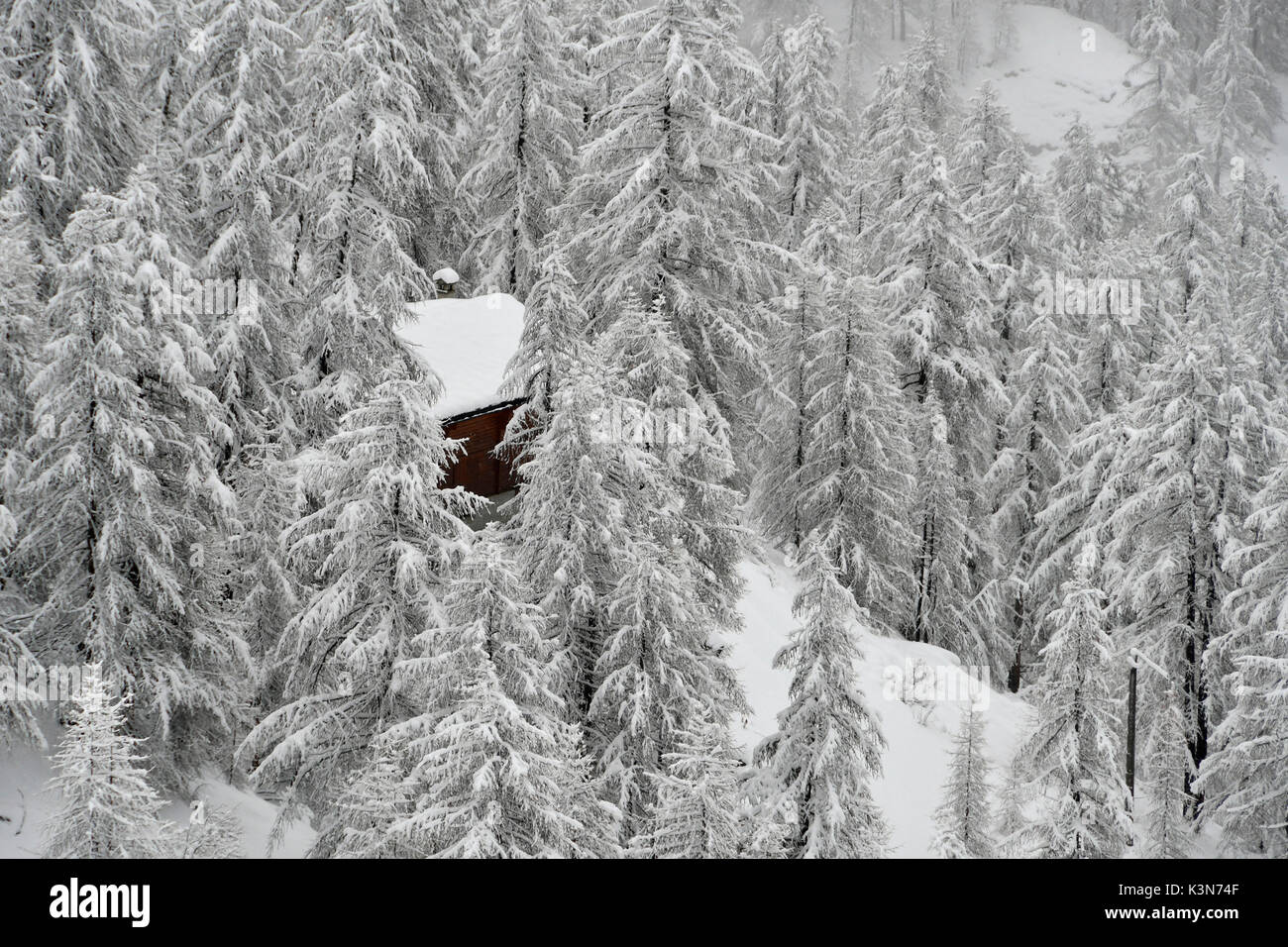 Chalet dans une forêt enneigée,Gressonay Vallée, vallée d'aoste, Italie Banque D'Images